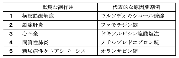 解説画像